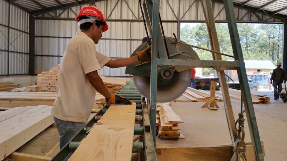La industria de la madera registra subas de costos del 15 por ciento desde la última devaluación.