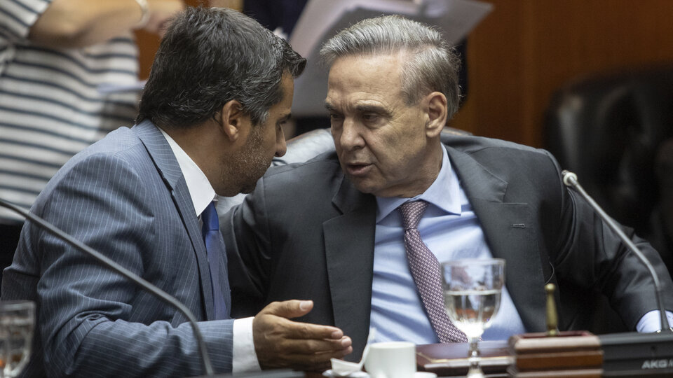 Miguel Pichetto con el consejero Diego Molea, representante del sector académico.