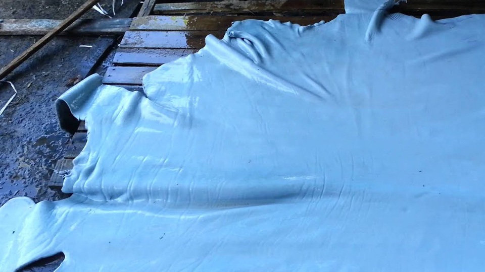 La medida firmada por el secretario de Agroindustria es hasta fines de 2021.