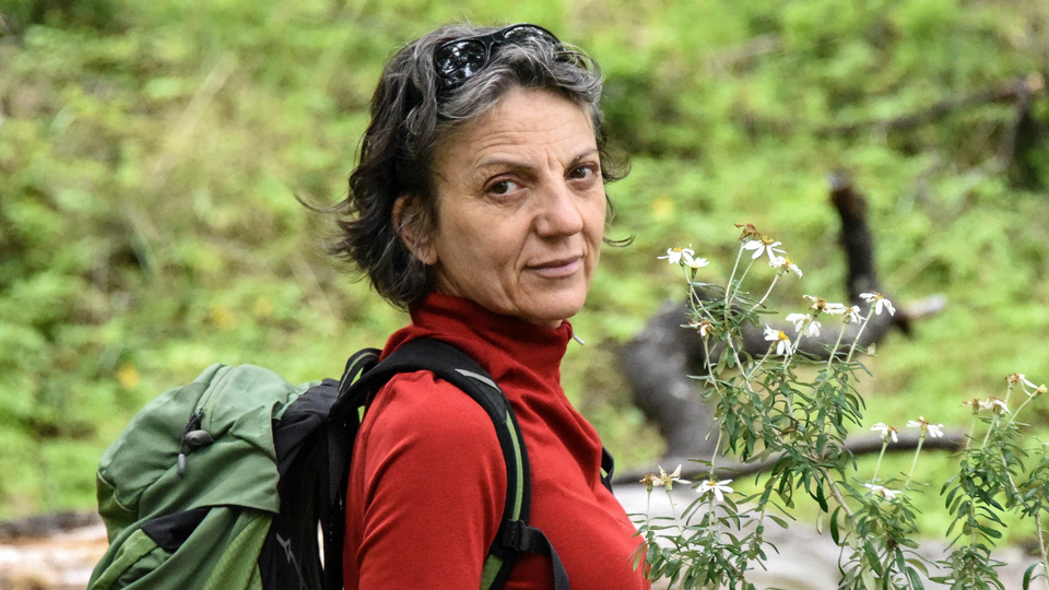 Sandra Díaz, una de las diez personalidades de la ciencia más influyentes de 2019