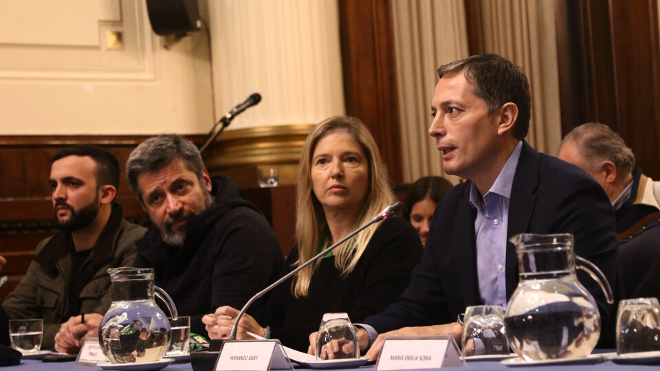 Grosso, Santa MarÃa, Alvarez RodrÃguez y Gray, entre otros, participaron de una conferencia de prensa en el Congreso.
