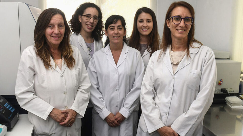 Científicas argentinas identificaron la secuencia genética de 26 cepas del coronavirus | Entrevista a Mariana Viegas, coordinadora de la investigación | Página12
