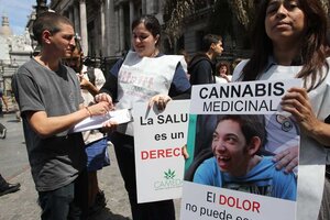 Diputados aprobó por unanimidad el uso medicinal del aceite de cannabis