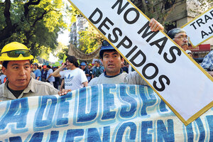  Crecen,    pero no son brotes sino desocupados