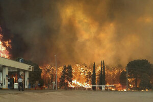 Controlaron el fuego en Cariló y Valeria del Mar (Fuente: Télam)