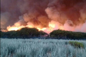 Fuego bajo control en La Pampa