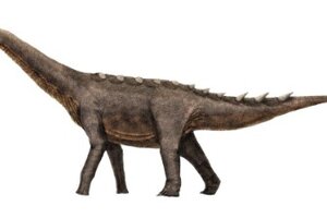 El dinosaurio más grande del mundo estará en Chubut