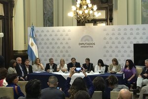 Correo Argentino: la oposición convocó a Aguad al Congreso