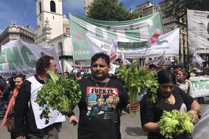 Otro verdurazo en Plaza de Mayo
