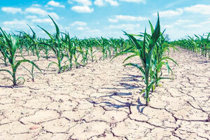 Los dólares del campo que no llegarán