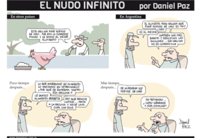 EL NUDO INFINITO (Fuente: Daniel Paz)