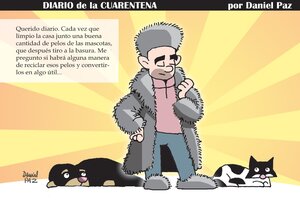 Diario de la cuarentena