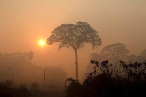 Amazonas en llamas: Brasil registró en junio el mayor número de incendios en 13 años