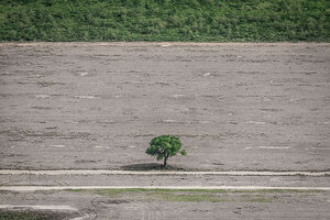 “Salta es cómplice de un crimen ambiental” (Fuente: Gentileza Greenpeace)