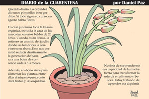 Diario de la cuarentena