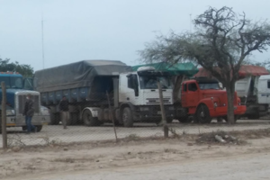 Secuestran en Salta 9 camiones con cereal que iban a Bolivia 