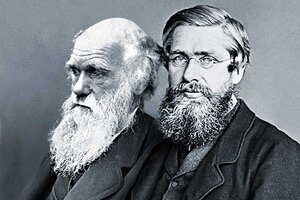 Wallace y Darwin, un camino compartido hacia la evolución