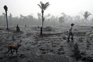 Deforestación récord en la Amazonia brasileña en el primer semestre de 2020 (Fuente: AFP)
