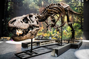 La vida tardó "sólo" 700.000 años en recuperarse tras el fin de los dinosaurios (Fuente: EFE)