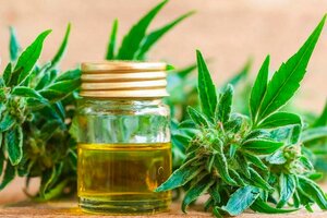 Cannabis medicinal: “El Ministerio de Salud nos escuchó desde el comienzo”
