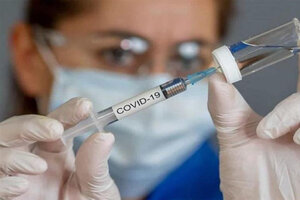 La vacuna de Oxford contra el coronavirus mostró ser segura y genera anticuerpos 
