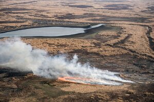 Ya se quemaron 90 mil hectáreas por los incendios en el Delta del Paraná (Fuente: AFP)