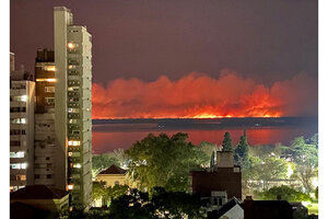 Incendios en el  Delta del Paraná: la Corte ordenó la creación de un "Comité de Emergencia Ambiental"  (Fuente: Twitter)
