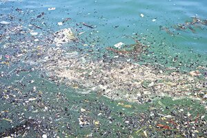El impacto de la contaminación ambiental: los plásticos llegaron al cuerpo humano