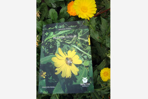 Herbario literario de la flora nativa