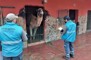 El Ministerio de Ambiente  clausuró el zoo de Luján