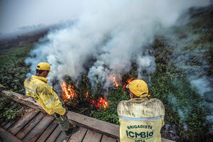 Brasil: El Pantanal sufre la mayor cantidad de incendios de su historia (Fuente: EFE)