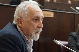 Diputados: Guillermo Carnaghi asumió en reemplazo de Darío Martínez