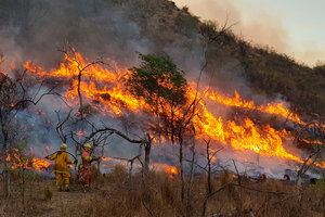 Siguen los incendios forestales en Córdoba (Fuente: NA)