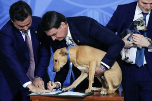 Jair Bolsonaro promulgó una ley contra el maltrato animal  (Fuente: AFP)