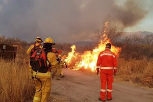 Las causas detrás de los incendios (Fuente: NA)