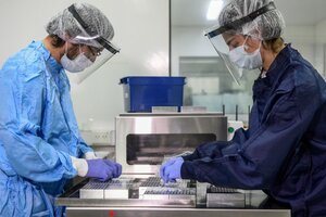 La Anmat aprobó un nuevo test rápido de coronavirus (Fuente: CONICET)