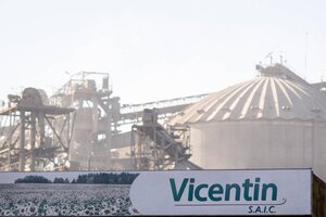 Vicentin: Crónica de un desenlace anunciado (Fuente: AFP)