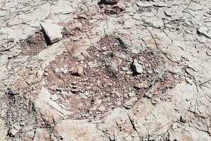 Prefectura encontró huellas de un dinosaurio en la Patagonia  