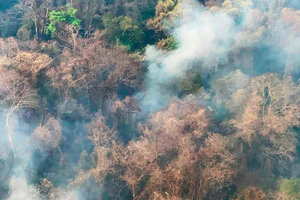 En Jujuy el fuego avanza sobre área natural protegida y Salta continúa con focos activos (Fuente: Télam)