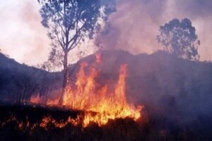 Incendios en Jujuy: el fuego arrasó un área natural protegida 