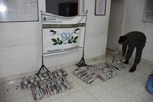 Gendarmes intentaban contrabandear hojas de coca  (Fuente: Gendarmería Nacional)