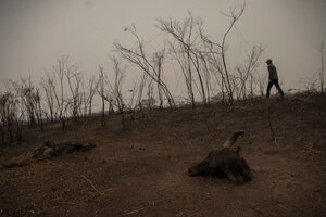 En Brasil suspenden el combate a los incendios por falta de recursos (Fuente: AFP)
