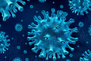 Descubren un "receptor-llave" que ayuda al coronavirus a entrar y expandirse rápido en el cuerpo humano