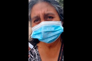 Plebiscito en Chile: el crudo relato de una mujer mapuche luego de votar por el referéndum