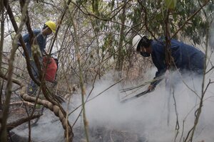 Incendios en Jujuy: ya se perdieron más de cinco mil hectáreas verdes