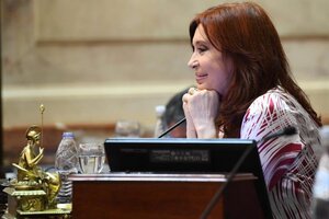 El Senado buscará aprobar la refinanciación de las deudas de las provincias con la Anses