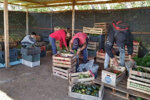 Cómo es el programa del Gobierno para que los desocupados produzcan alimentos 