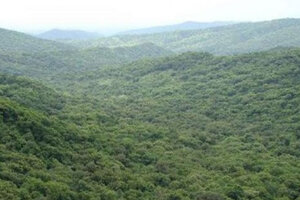 La conservación de los bosques ayudaría a revertir la pobreza 