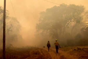 Incendios forestales: el Parque Nacional Calilegua y la Reserva Natural Las Lancitas están en riesgo (Fuente: Ministerio de Ambiente de Jujuy)