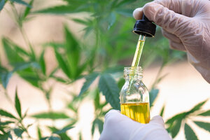 Cannabis medicinal: las claves del decreto (Fuente: AFP)